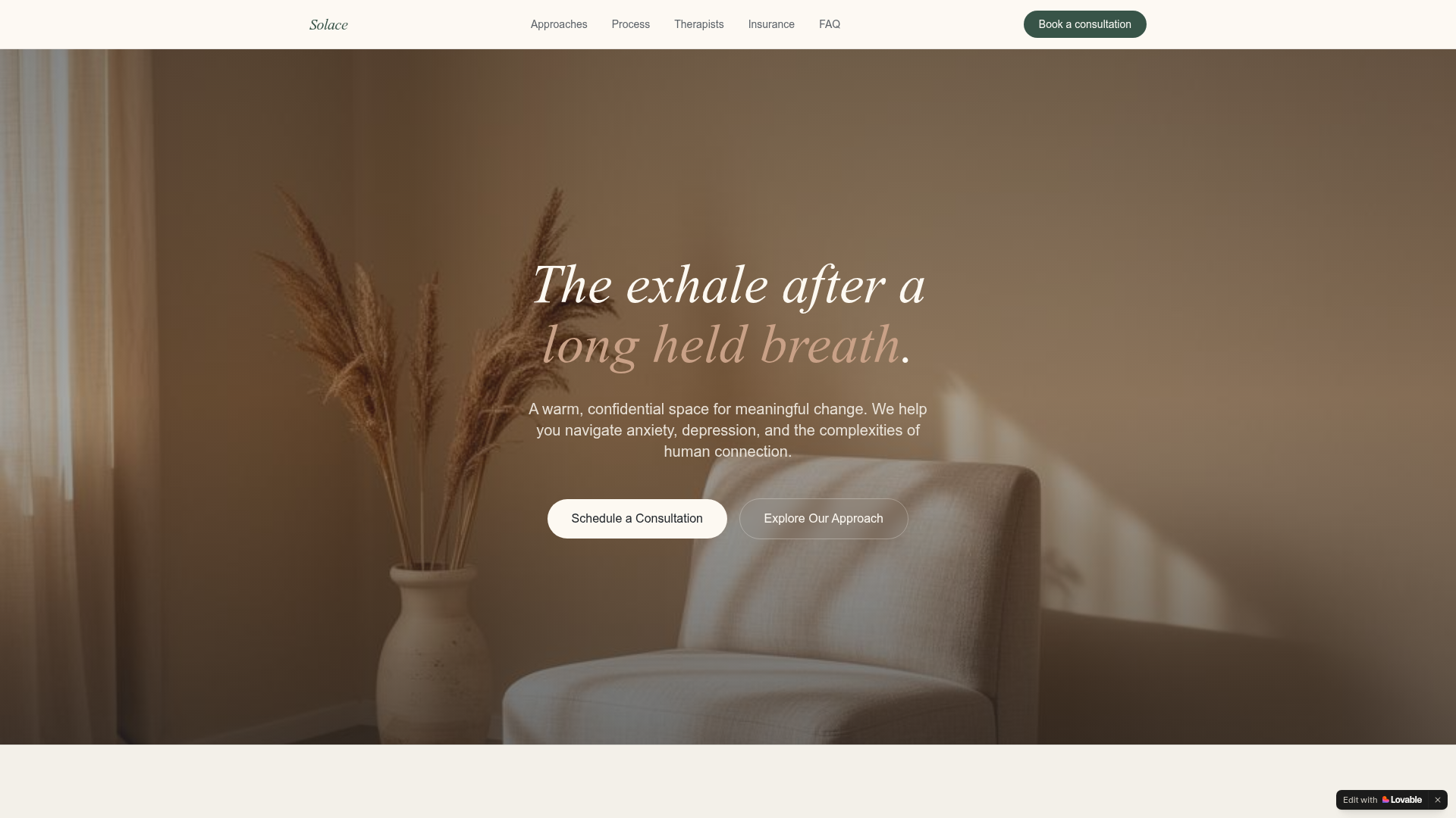 Solace website preview